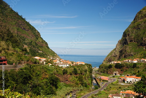 Madeira, Blumen, Atlantik, Funchal