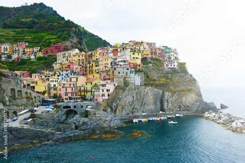 Marvelous view of the village of Manarola, Italy