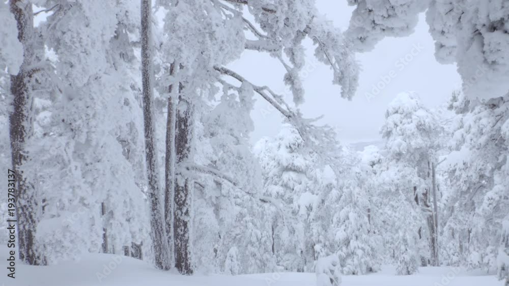 Beautiful freezed landscape Beautiful freezed landscape