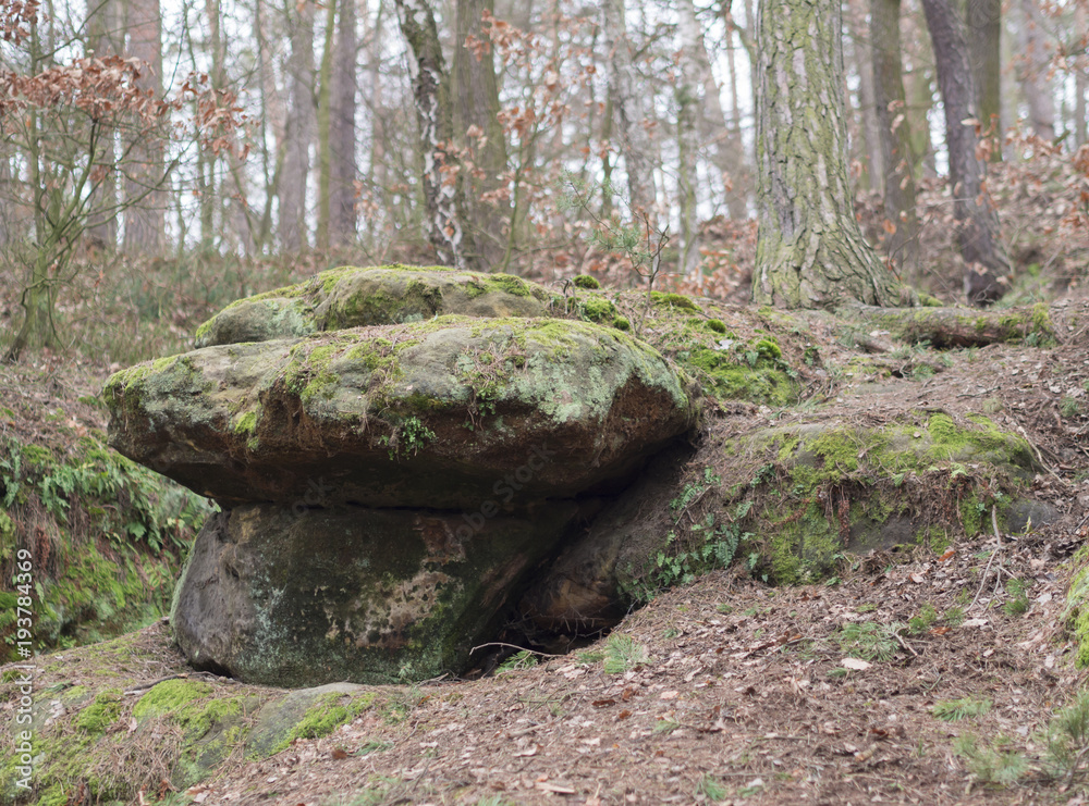 sandstone rock mushroom shape covered by moss and fern in winter forest, czech republic sandstone rock mushroom shape covered by moss and fern in winter forest, czech republic