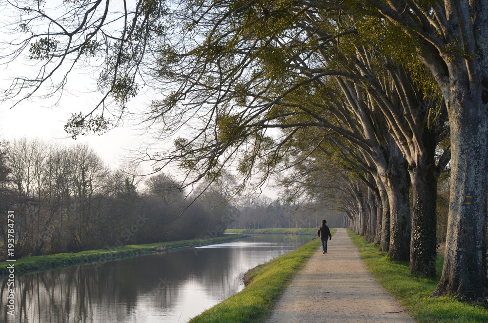 Canal de Nantes à Brest, Blain, France Stock Photo Adobe Stock