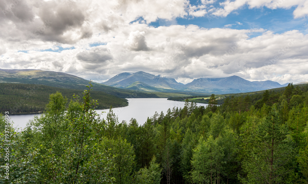 Forest and mountains, Rondane National Park, Norway