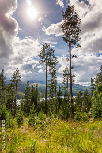 Forest and mountains, Rondane National Park, Norway © natagolubnycha