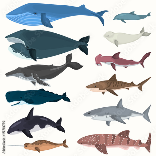 Set of color giant inhabitants of the sea depths icons