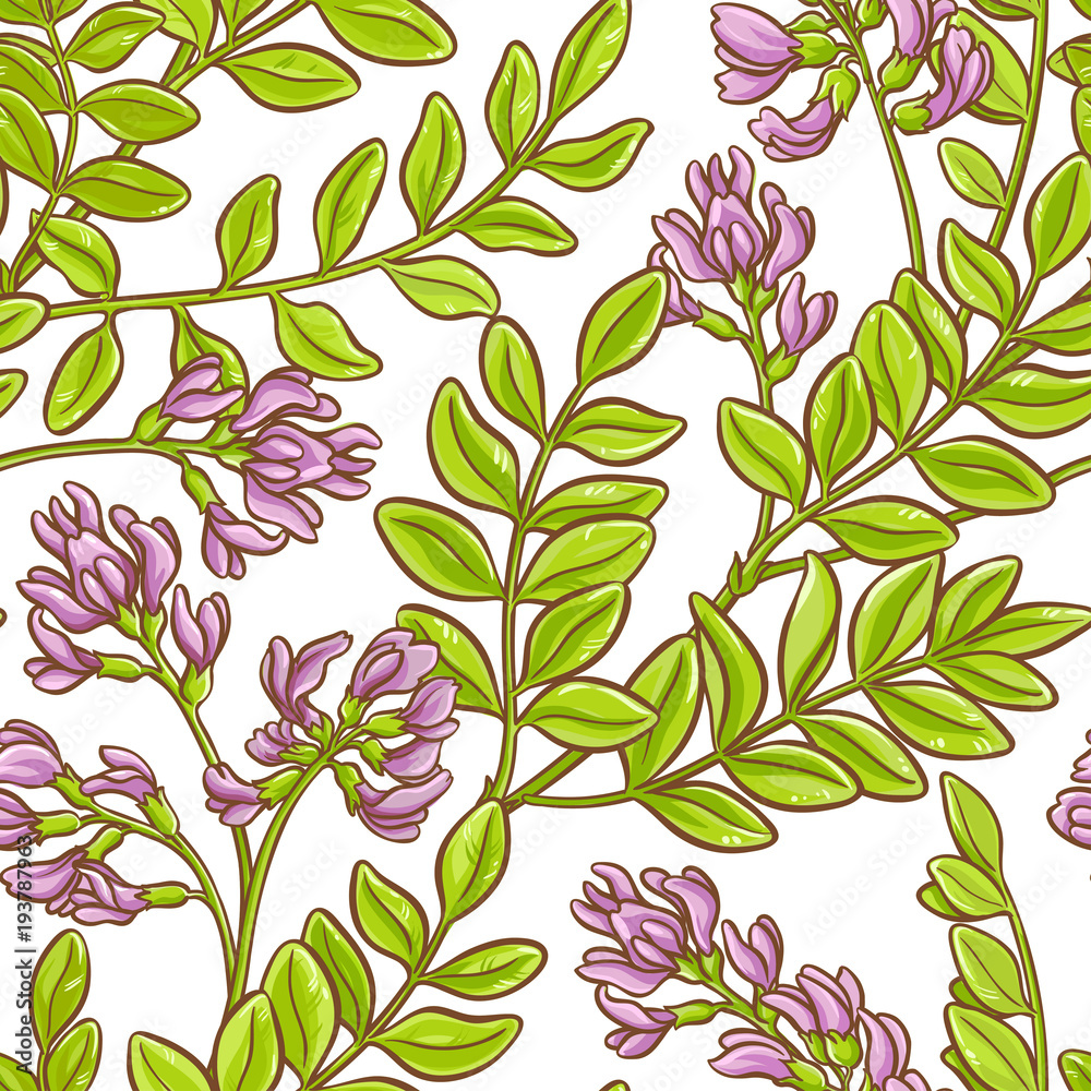 astragalus vector pattern astragalus vector pattern