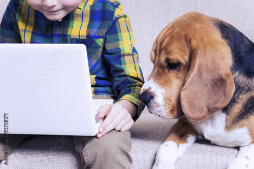 funny boy playing a laptop with a dog on the couch
