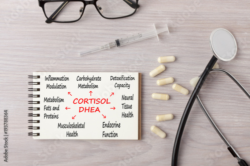 Adrenal Cortisol Levels Concept photo