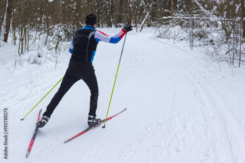 a man skier skating in a winter forest near trees