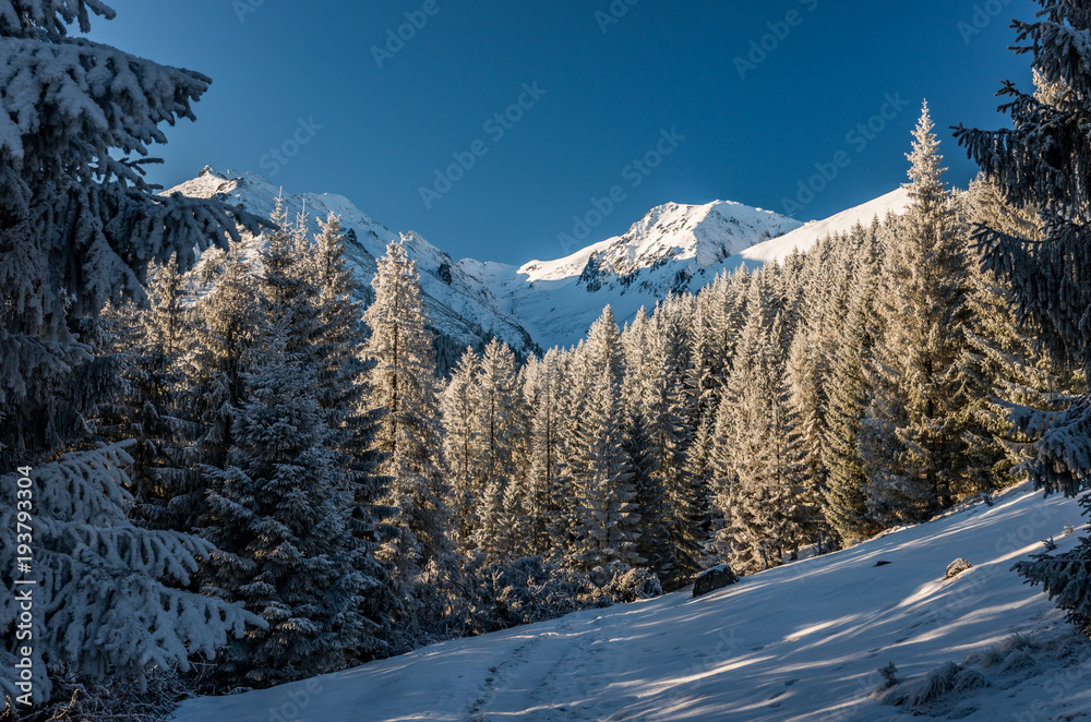 Fototapeta premium Winter mountain landscape, Tatra mountains, morning