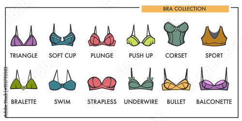 Woman bra types collection vector icons of fashion brassiere lin