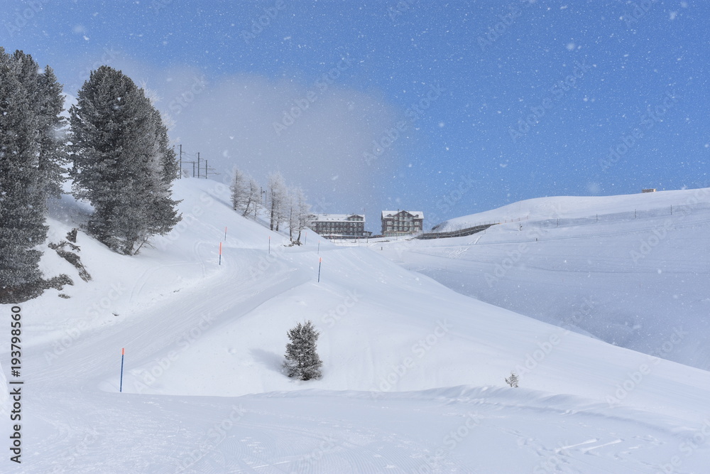 Obraz premium Schneefall in den Bergen