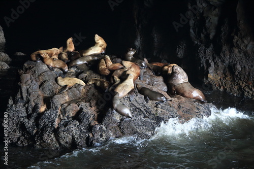 Sea Lion Caves - Florence Oregon USA  photo