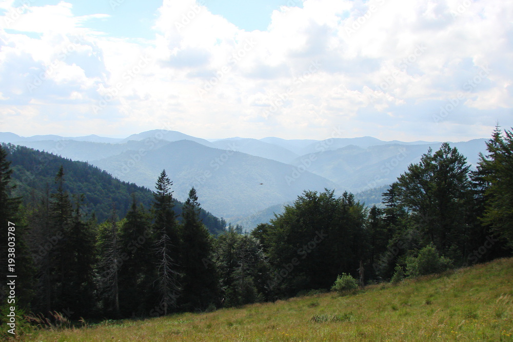 The forest landscape of a hot summer day on the background of mountain ranges on the horizon.