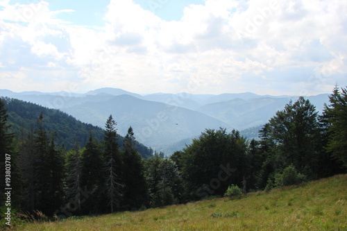 The forest landscape of a hot summer day on the background of mountain ranges on the horizon.