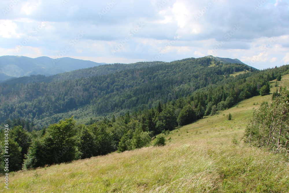 The landscape of the Carpathian forest on the slope of the mountain ridge under the rare sunshine of the cloudy sky.