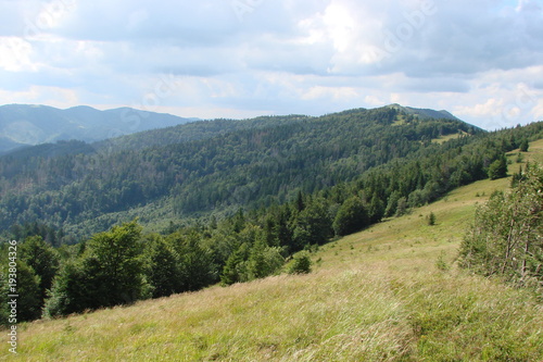 The landscape of the Carpathian forest on the slope of the mountain ridge under the rare sunshine of the cloudy sky.