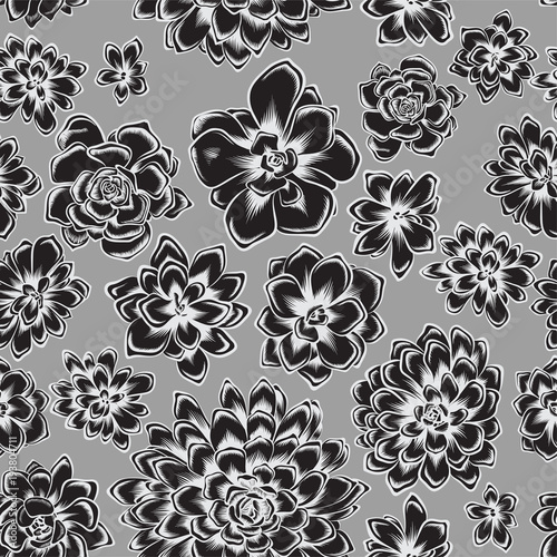 seamless pattern with succulents flowers drawings