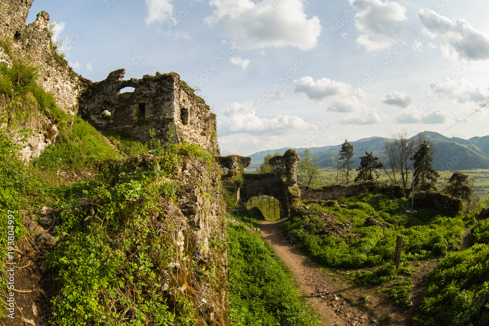 The ruins of the castle