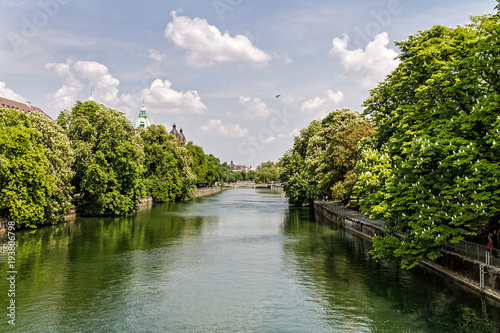 Quiet flowing river surrounded by trees in summer