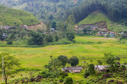 Landscape near Nanu Oya village, Sri Lanka photo