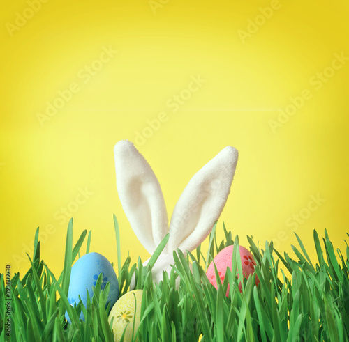 Canvas Print Easter funny bunny on green grass with easter eggs