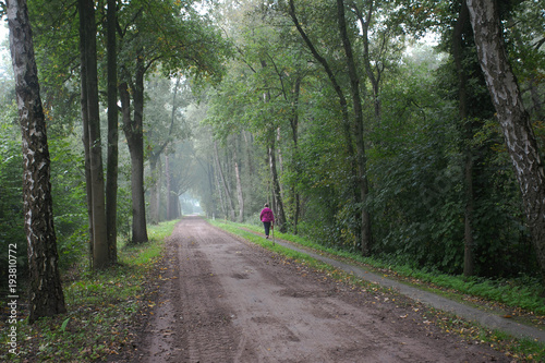 Women walks in the forest on a day in the spring © annebel146