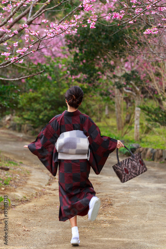 スキップする大島紬を着た女性 お花見 桜満開
