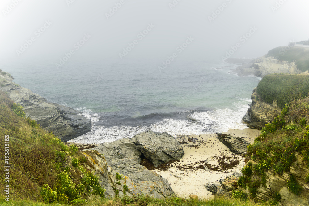 foggy day on the coast with green grass on the rocks foggy day on the coast with green grass on the rocks