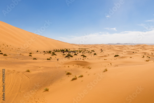 Sand dunes in the Sahara Desert  Morocco.