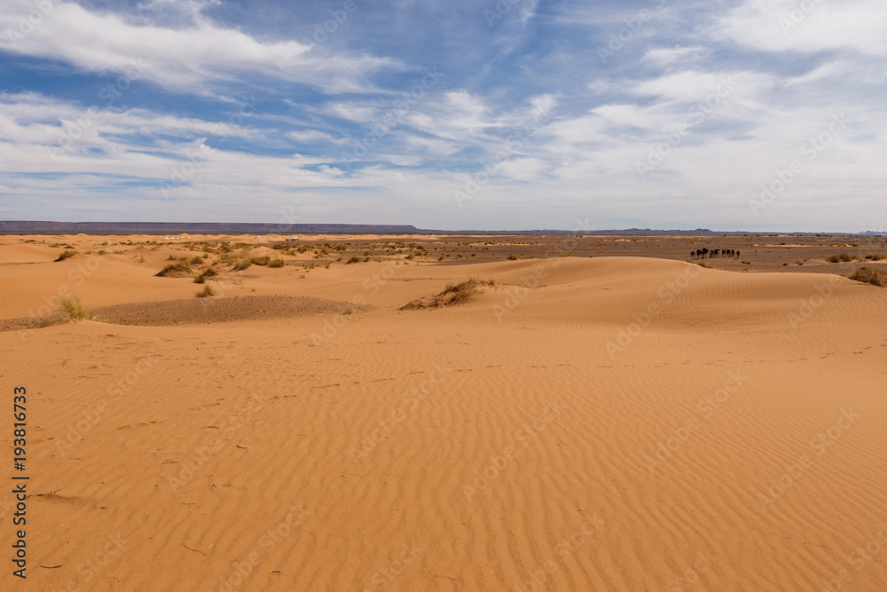 Dunes of Erg Chebbi, Sahara Desert Morocco.