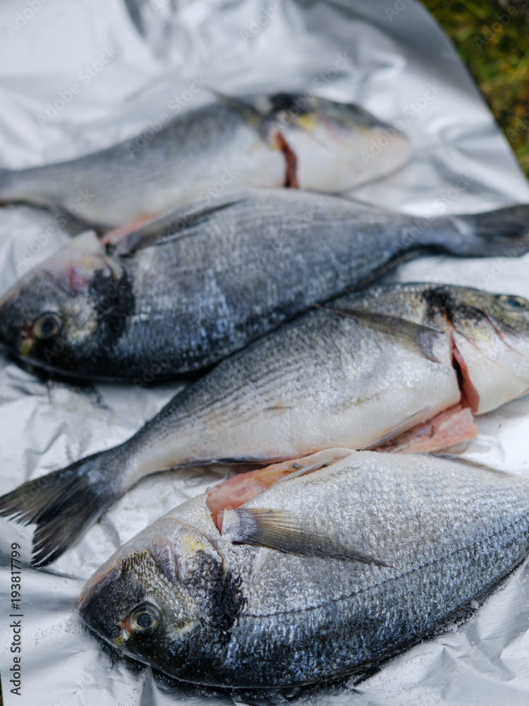 Obraz premium Fresh dorado fish