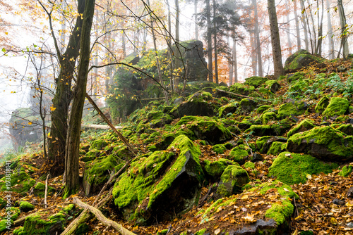 Rocks in the woods. Autumn landscape in the Czech Republic