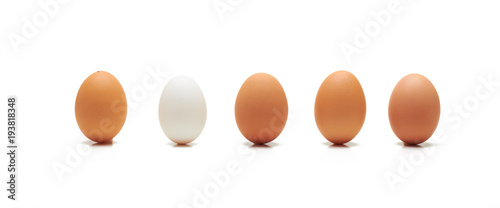 Single white egg among brown ones in a row
