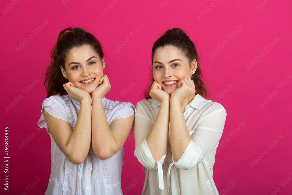 two beautiful young sisters twins in a good mood in white blouses on a pink background two beautiful young sisters twins in a good mood in white blouses on a pink background