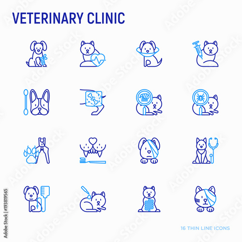 Veterinary clinic thin line icons set: broken leg, protective collar, injection, cardiology, cleaning of ears, teeth, shearing claws, bandage on eye, blood transfusion for dog. Vector illustration.