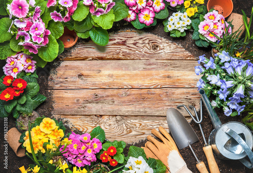 Frühling, Garten, Gartenarbeit, Gartenwerkzeug, Blumen, Hintergrund