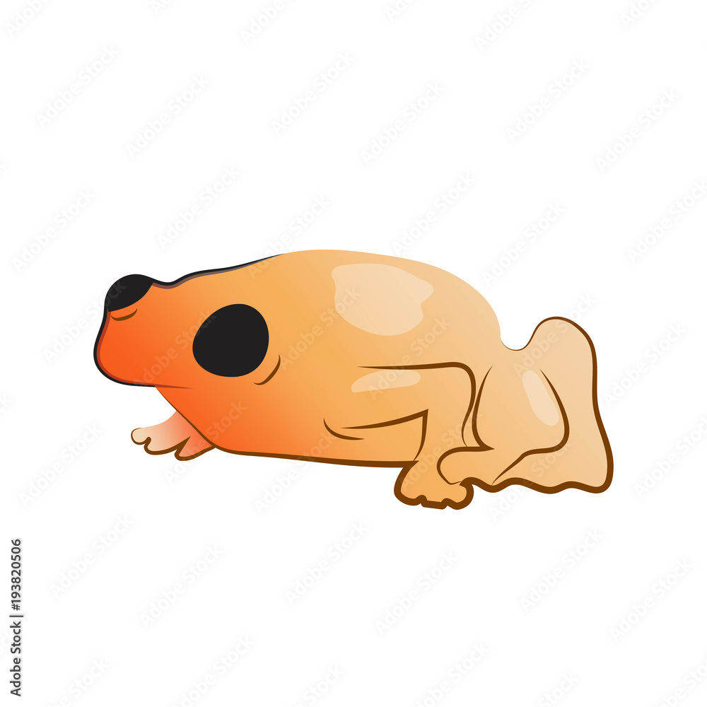 Cute orange little frog vector illustration Cute orange little frog vector illustration
