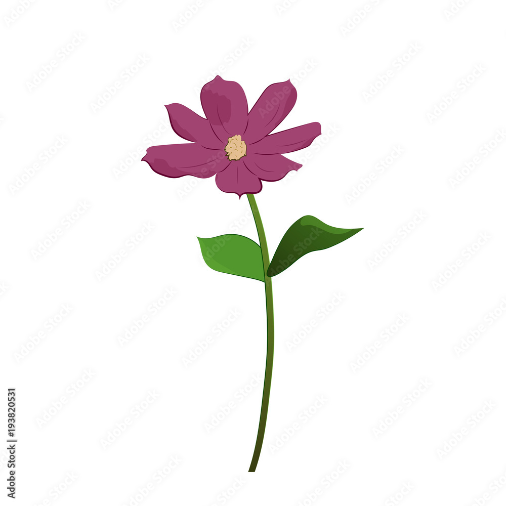 A daisy for you vector illustration A daisy for you vector illustration