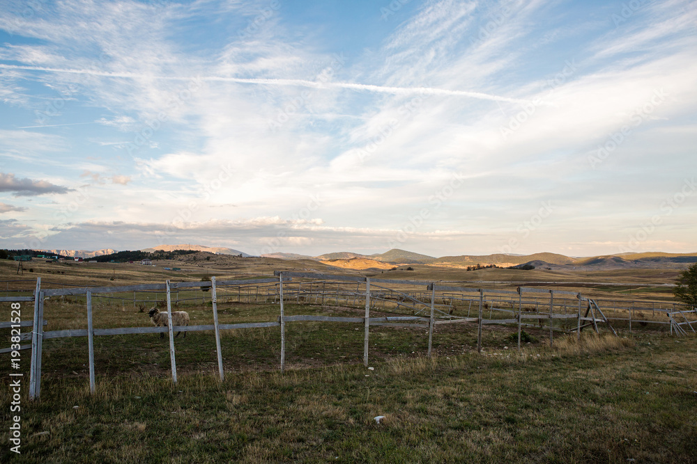 sunrise in Montenegro mountains in the background and fields in the Park zabljak