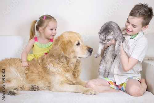 Boy, Girl, Cat And Dog Playing In Living Room