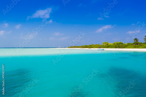 Maldives, tropical sea background!