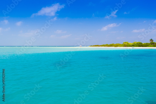 Fototapeta Naklejka Na Ścianę i Meble -  Maldives,  tropical sea background 3!