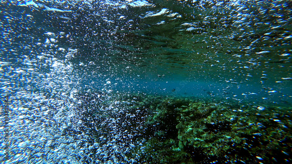 many air bubbles rise from the bottom of the sea many air bubbles rise from the bottom of the sea