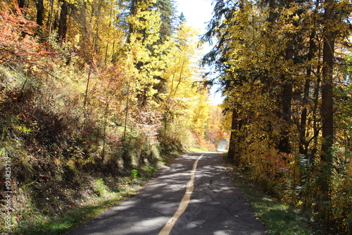 Autumn Along The Glenora Ravine, Edmonton, Alberta