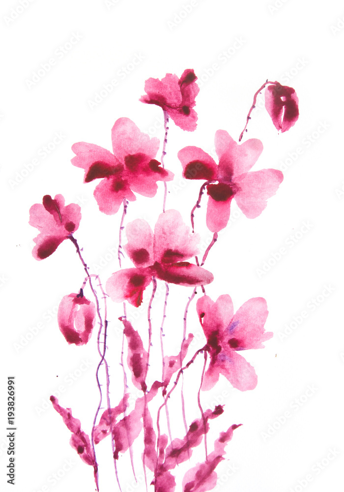 Red poppy flower on white background, watercolor hand painted on paper Red poppy flower on white background, watercolor hand painted on paper
