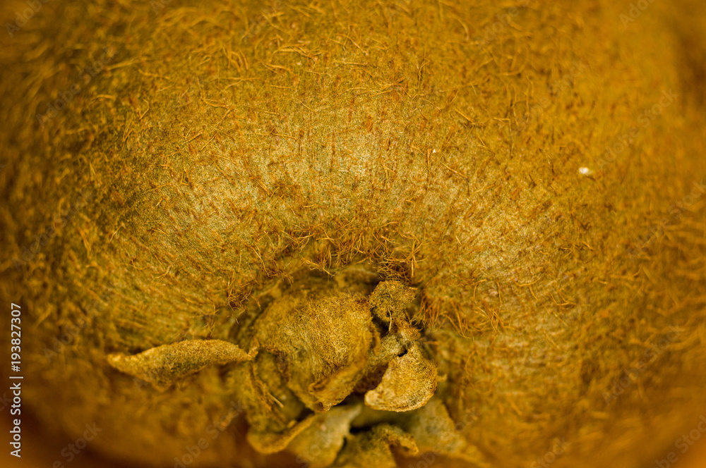 Obraz premium organic kiwi fruit, close-up