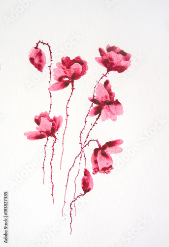 Red poppy flower on white background, watercolor hand painted on paper