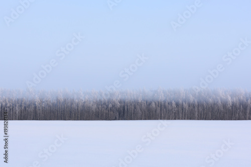 Winter country landscape. Empty snow field and trees in fog and hoarfrost