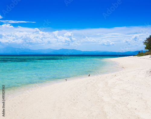 Philippines   tropical sea background 1 