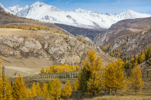 Autumn mountains landscapes, Altai Republic, Russia.